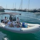 theboats.es predator whatsapp image 2025 07 29 at 15.59.17