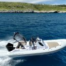 Stingher 28GT Lux001 boat rental in Altea